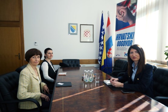 Predsjedavajuća Komisije za vanjske poslove Predstavničkog doma PSBiH Darijana Filipović razgovarala sa ambasadoricom Češke Republike u BiH 